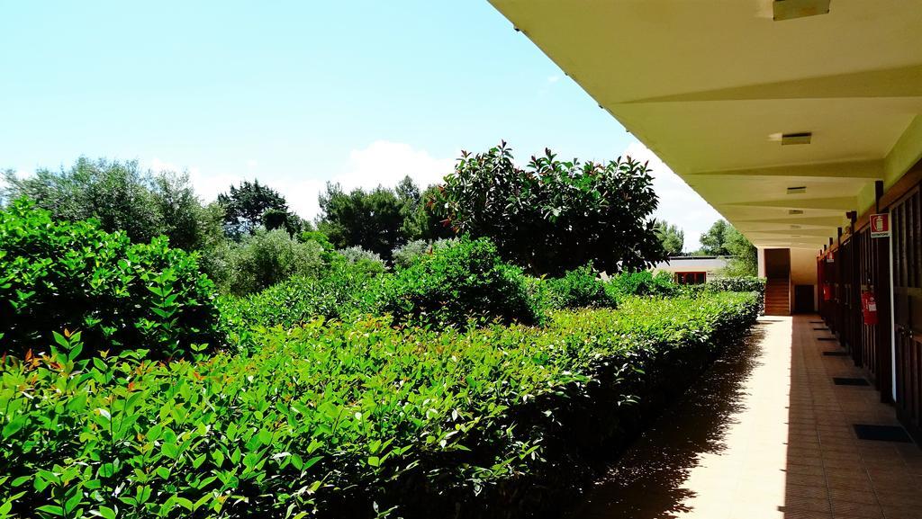 B&B Poggio Delle Ginestre Rutigliano Exterior foto